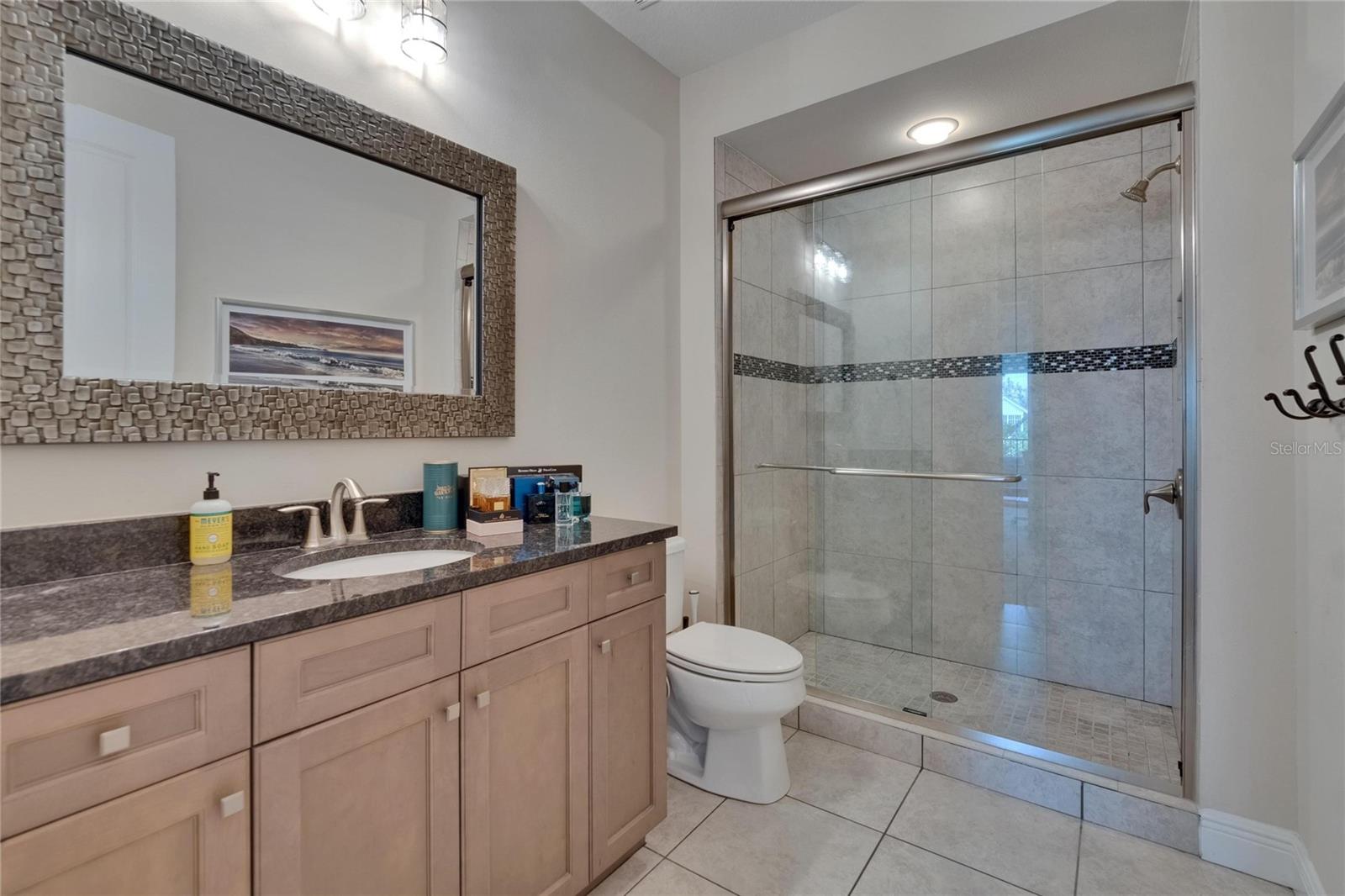 16406 CHAPMAN CROSSING DR, LITHIA, FL, 33547