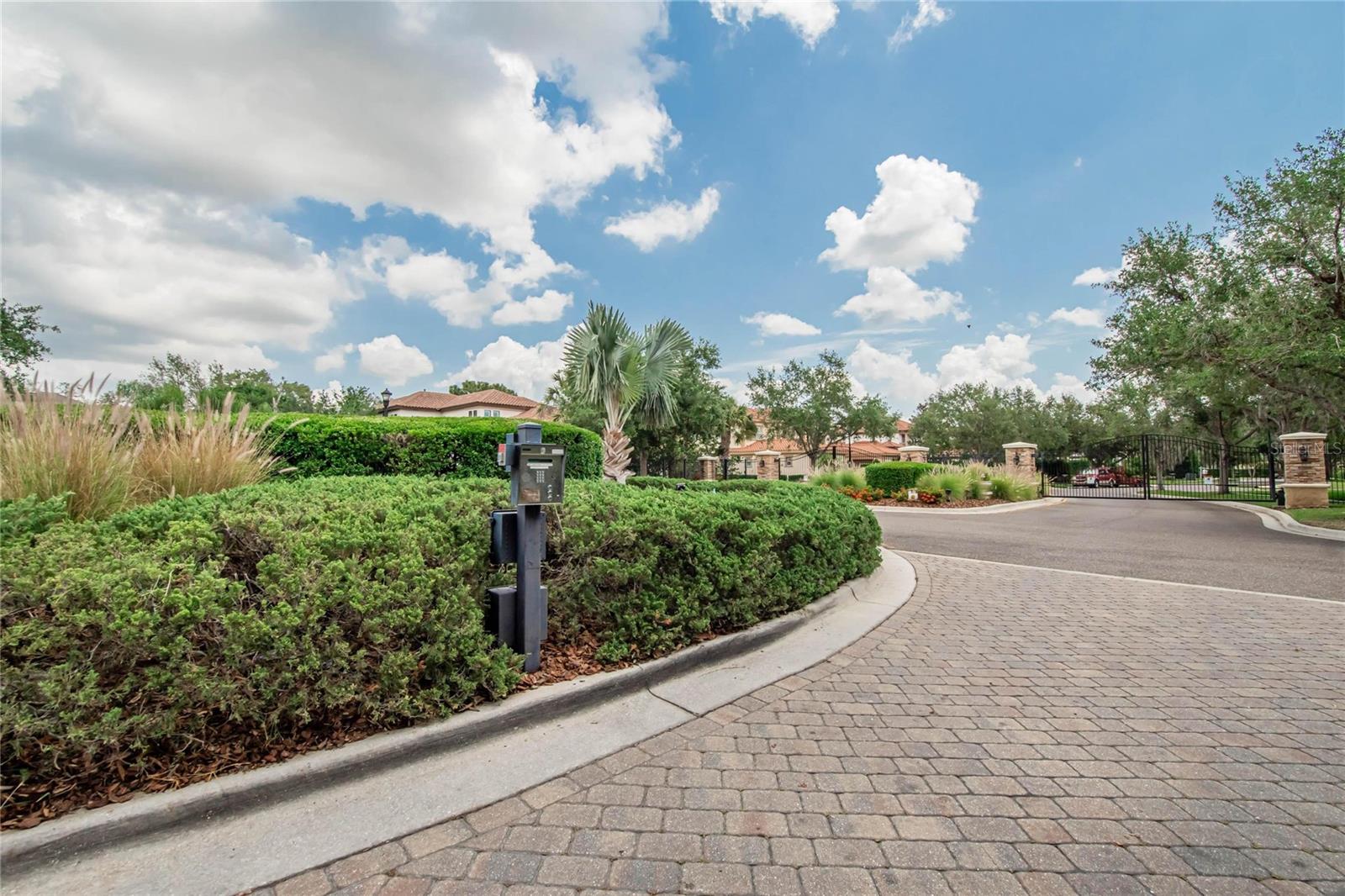 16406 CHAPMAN CROSSING DR, LITHIA, FL, 33547