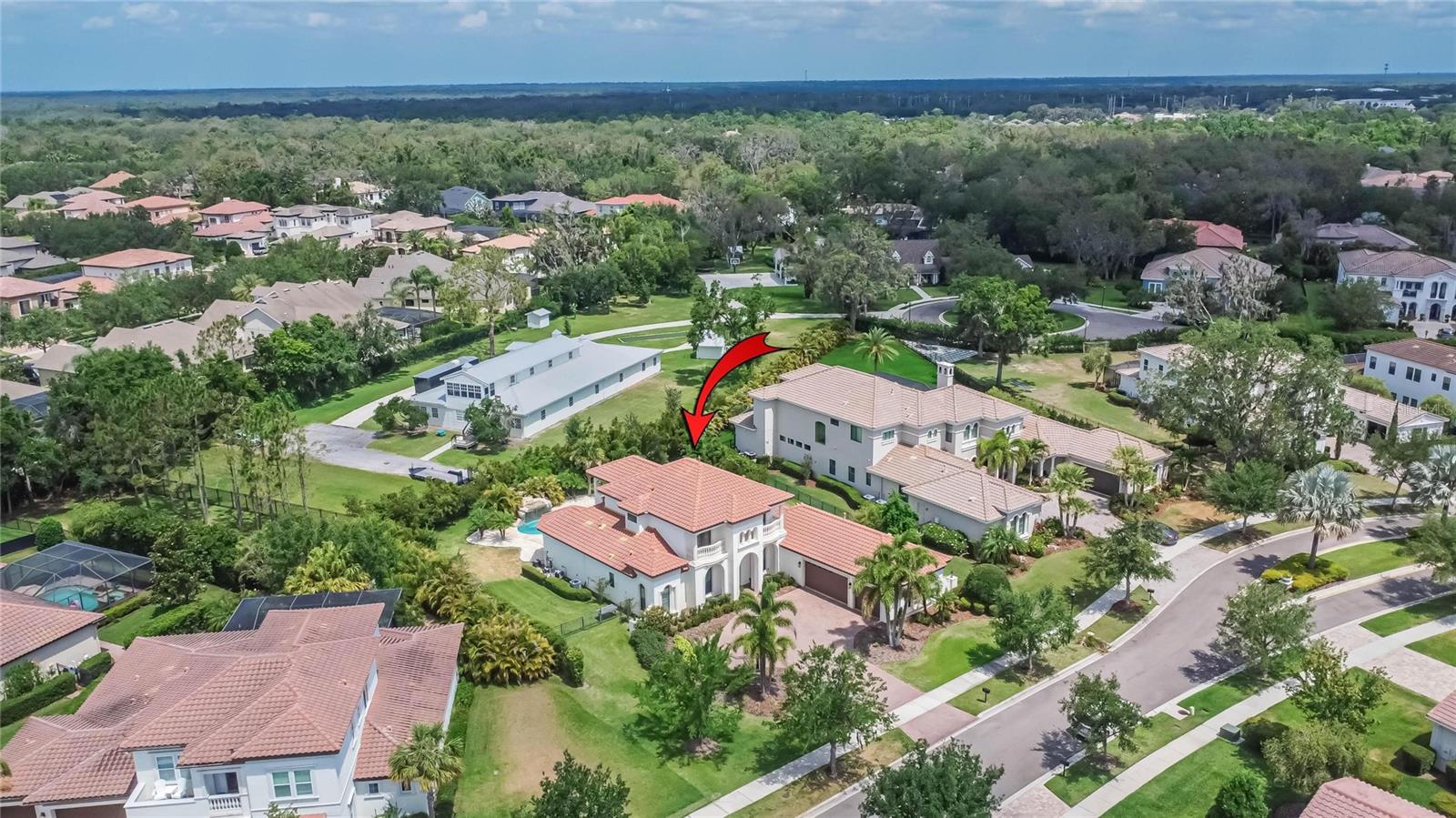 16406 CHAPMAN CROSSING DR, LITHIA, FL, 33547