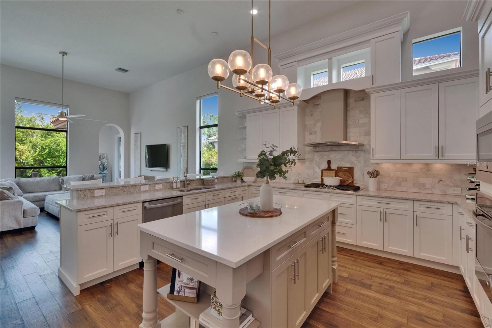 16406 CHAPMAN CROSSING DR, LITHIA, FL, 33547