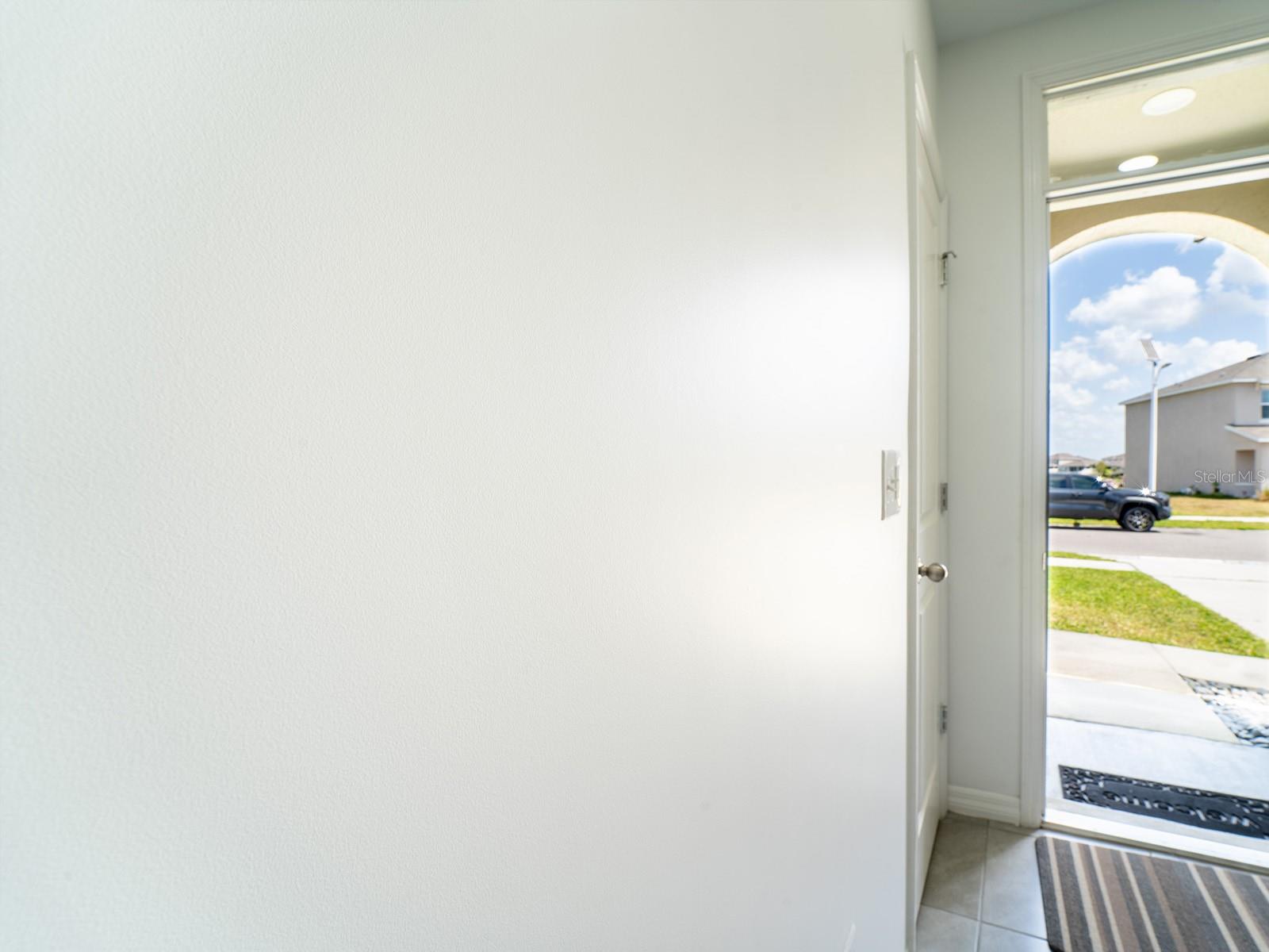 8891 BOWER BASS CIR, WESLEY CHAPEL, FL, 33545