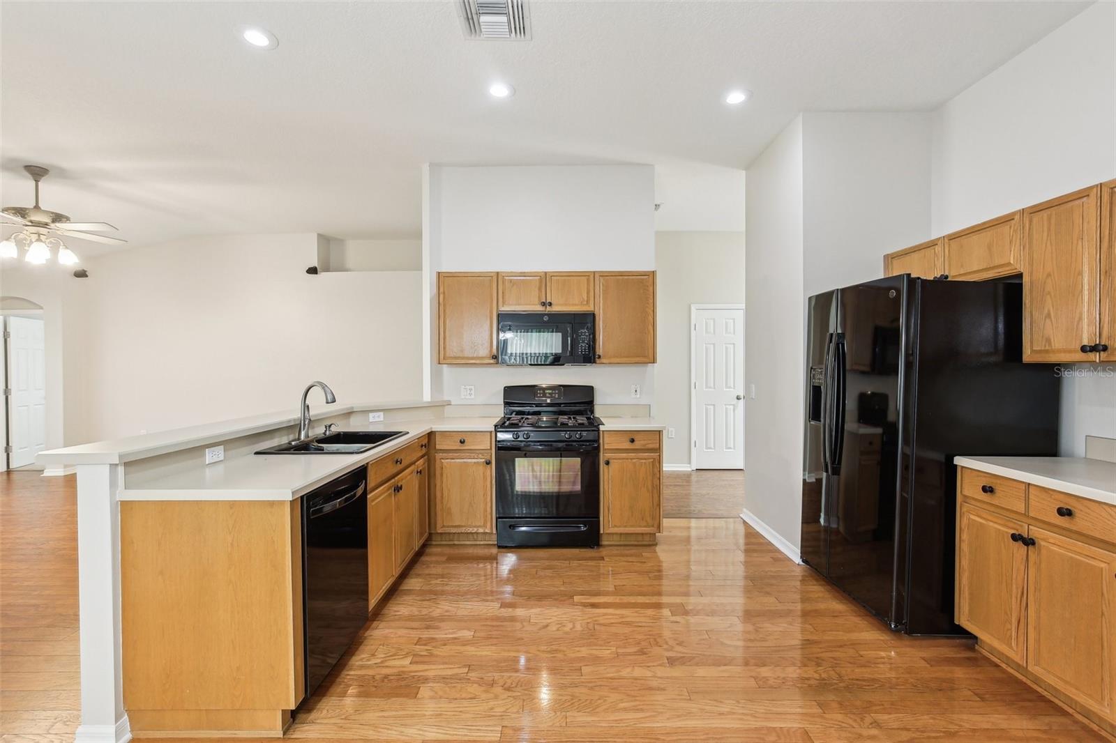 10150 HEATHER SOUND DR, TAMPA, FL, 33647