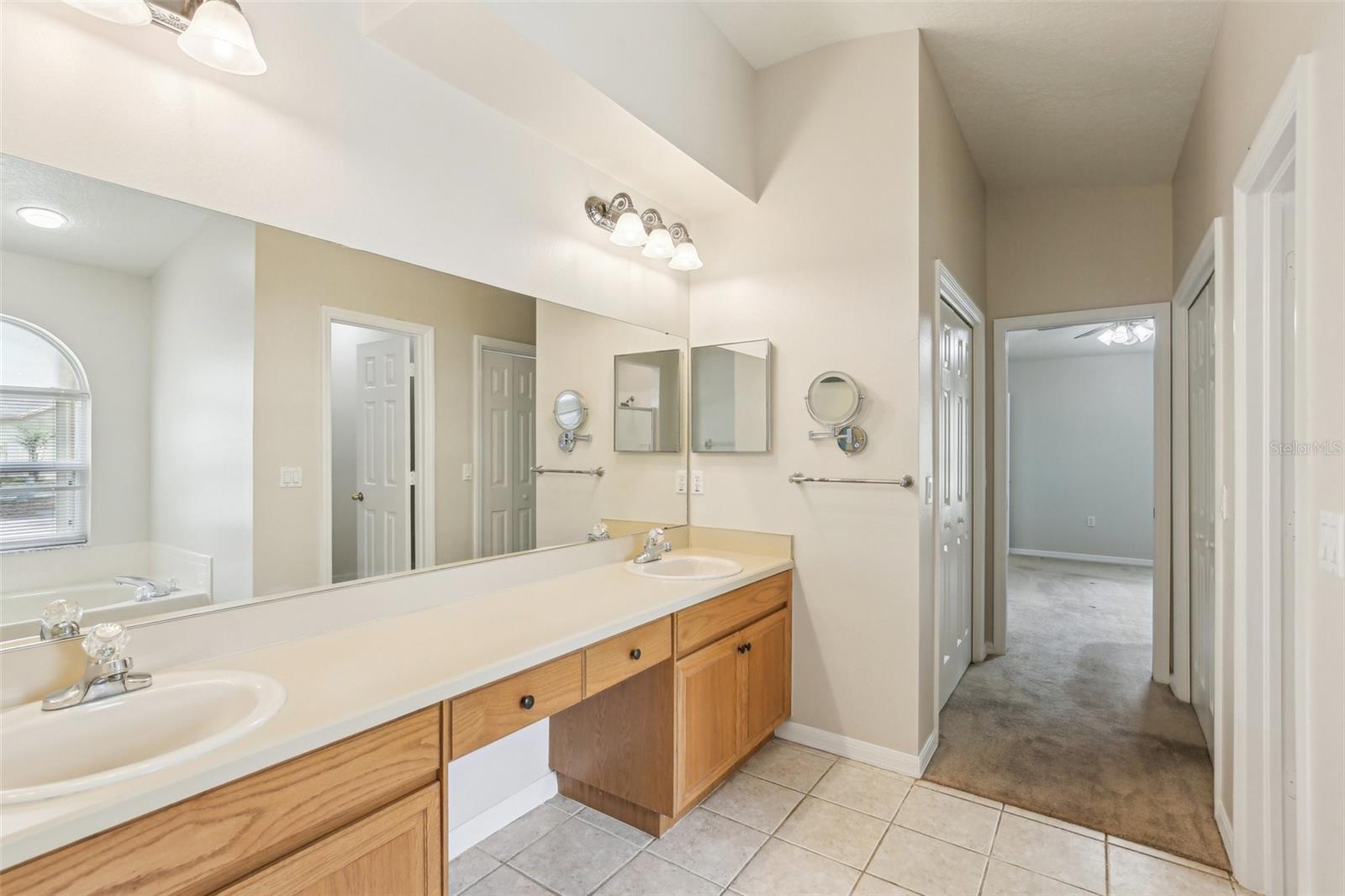 10150 HEATHER SOUND DR, TAMPA, FL, 33647