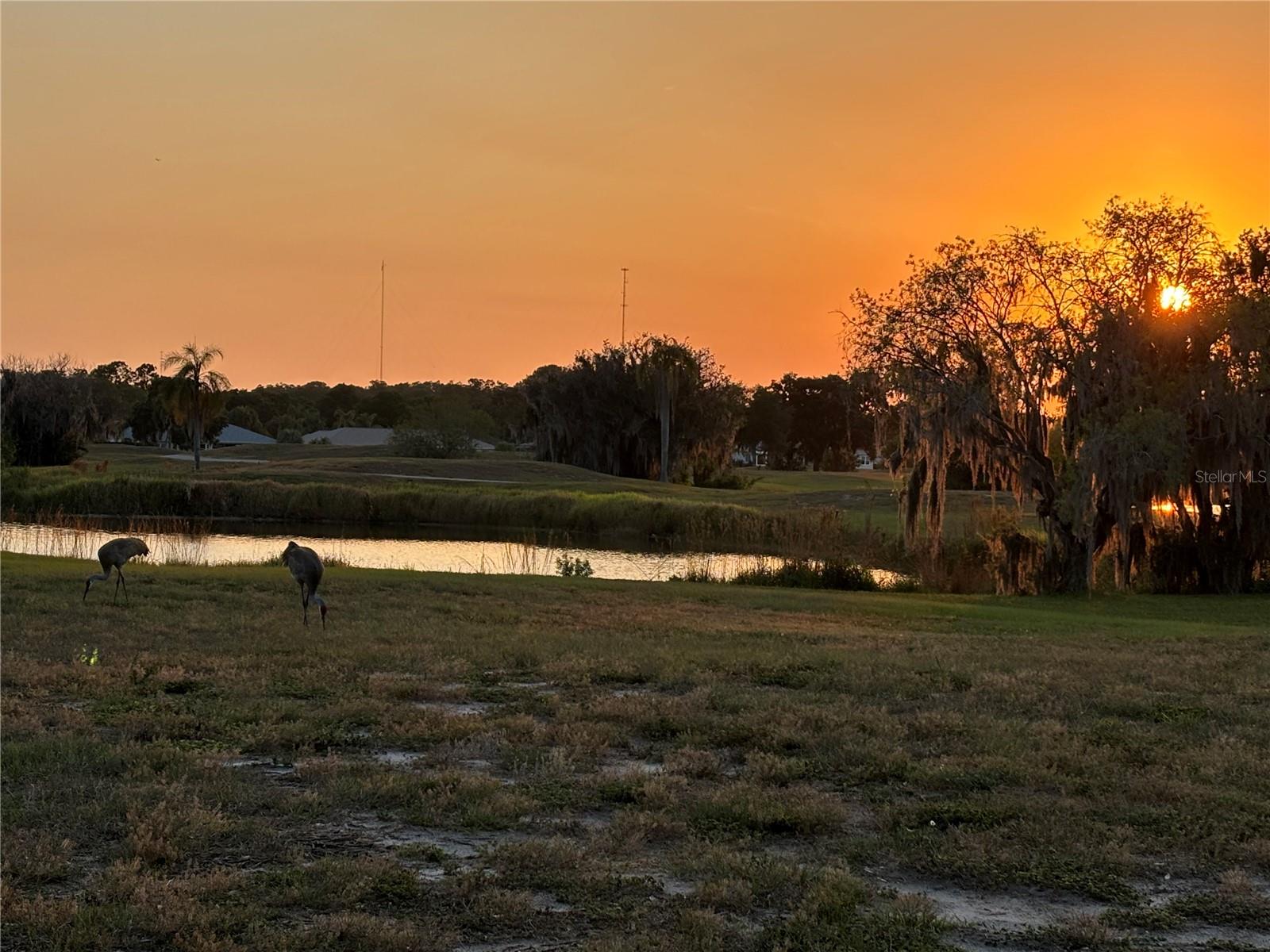 2607 LANCASTER DR #35, SUN CITY CENTER, FL, 33573