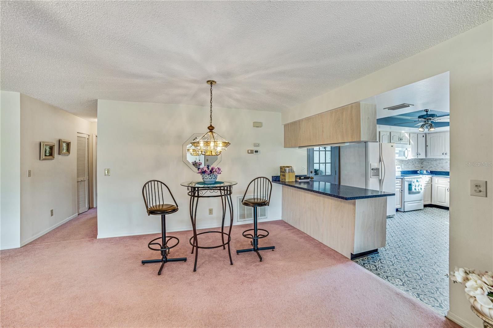 2607 LANCASTER DR #35, SUN CITY CENTER, FL, 33573