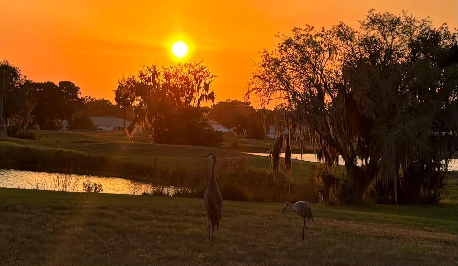 2607 LANCASTER DR #35, SUN CITY CENTER, FL, 33573