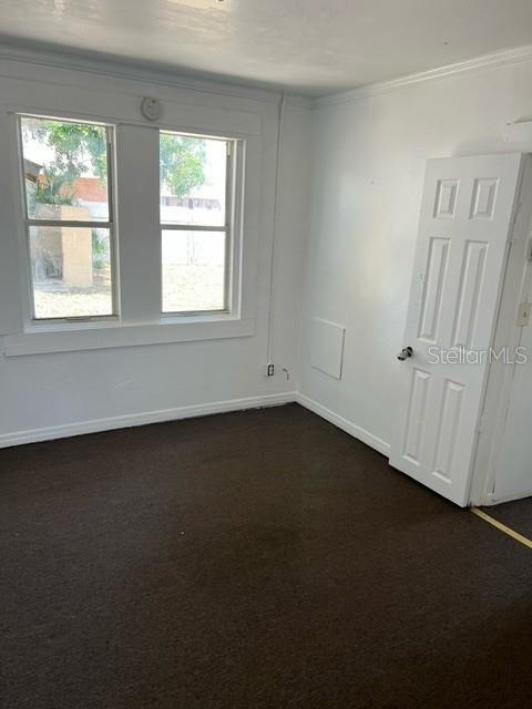 217 NW 4TH AVE, MULBERRY, FL, 33860