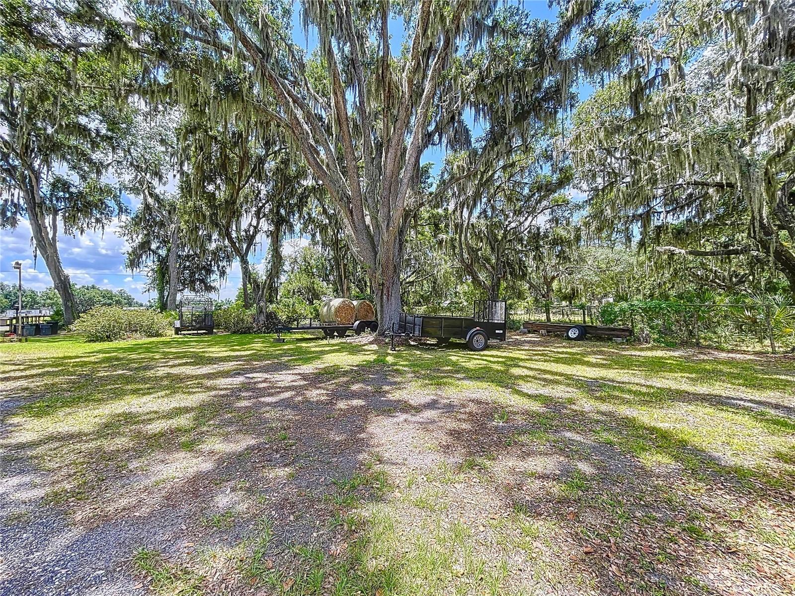 3544 PORTER RD, LITHIA, FL, 33547