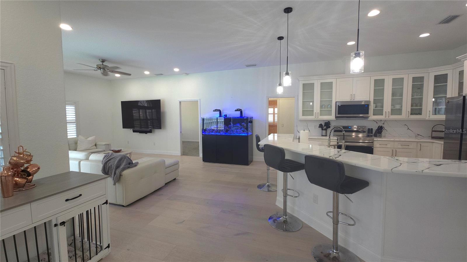 1961 DUNBRODY CT, DUNEDIN, FL, 34698