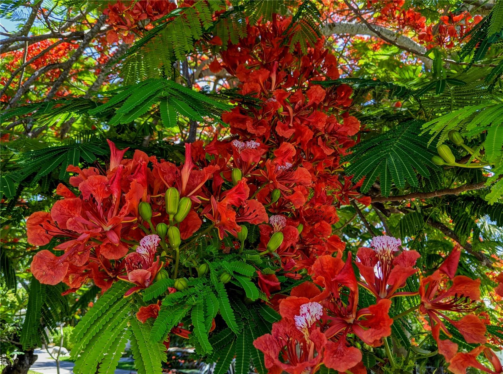 5895 17TH ST W #B-26, BRADENTON, FL, 34207