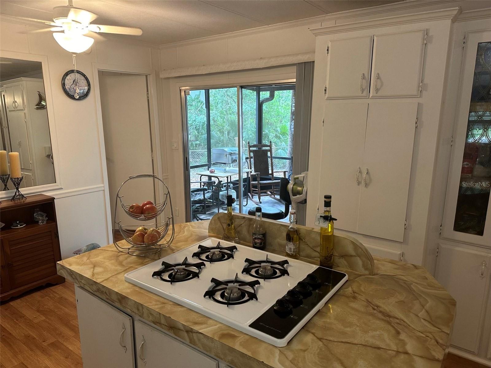 3816 CR 405C, LAKE PANASOFFKEE, FL, 33538