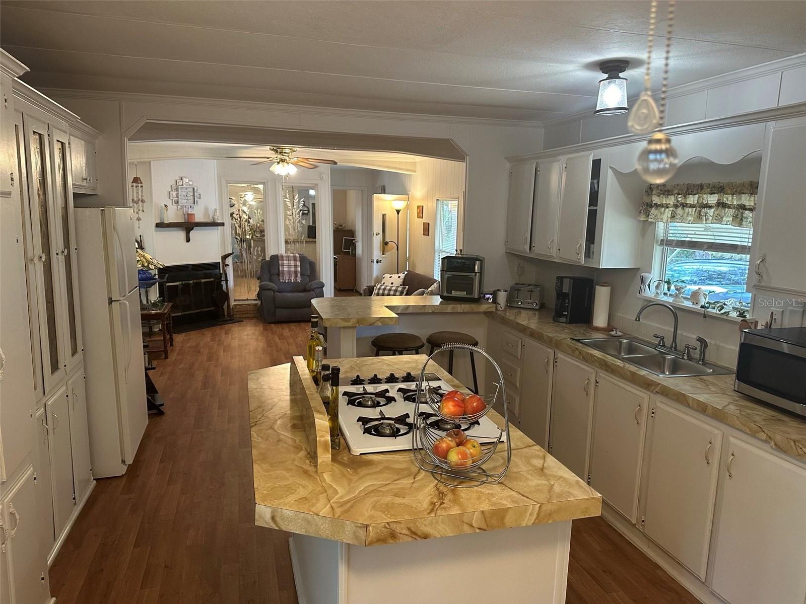 3816 CR 405C, LAKE PANASOFFKEE, FL, 33538