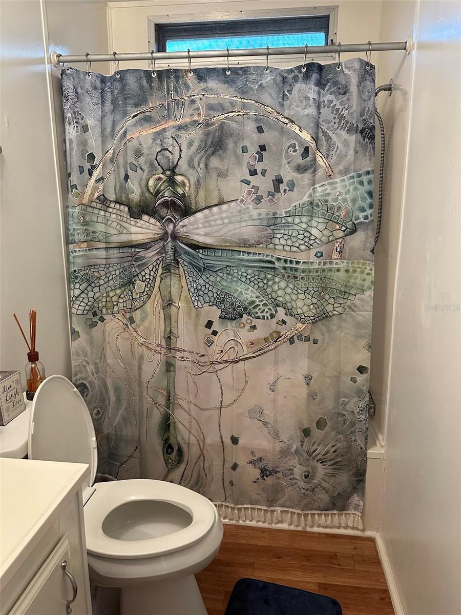 3816 CR 405C, LAKE PANASOFFKEE, FL, 33538