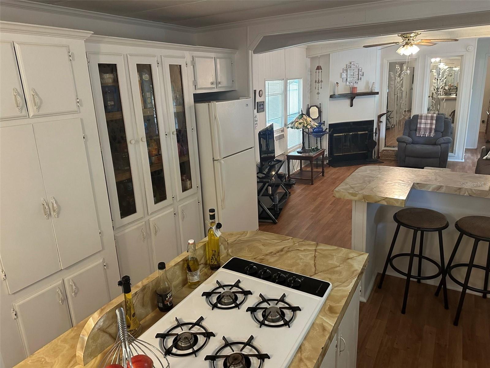 3816 CR 405C, LAKE PANASOFFKEE, FL, 33538