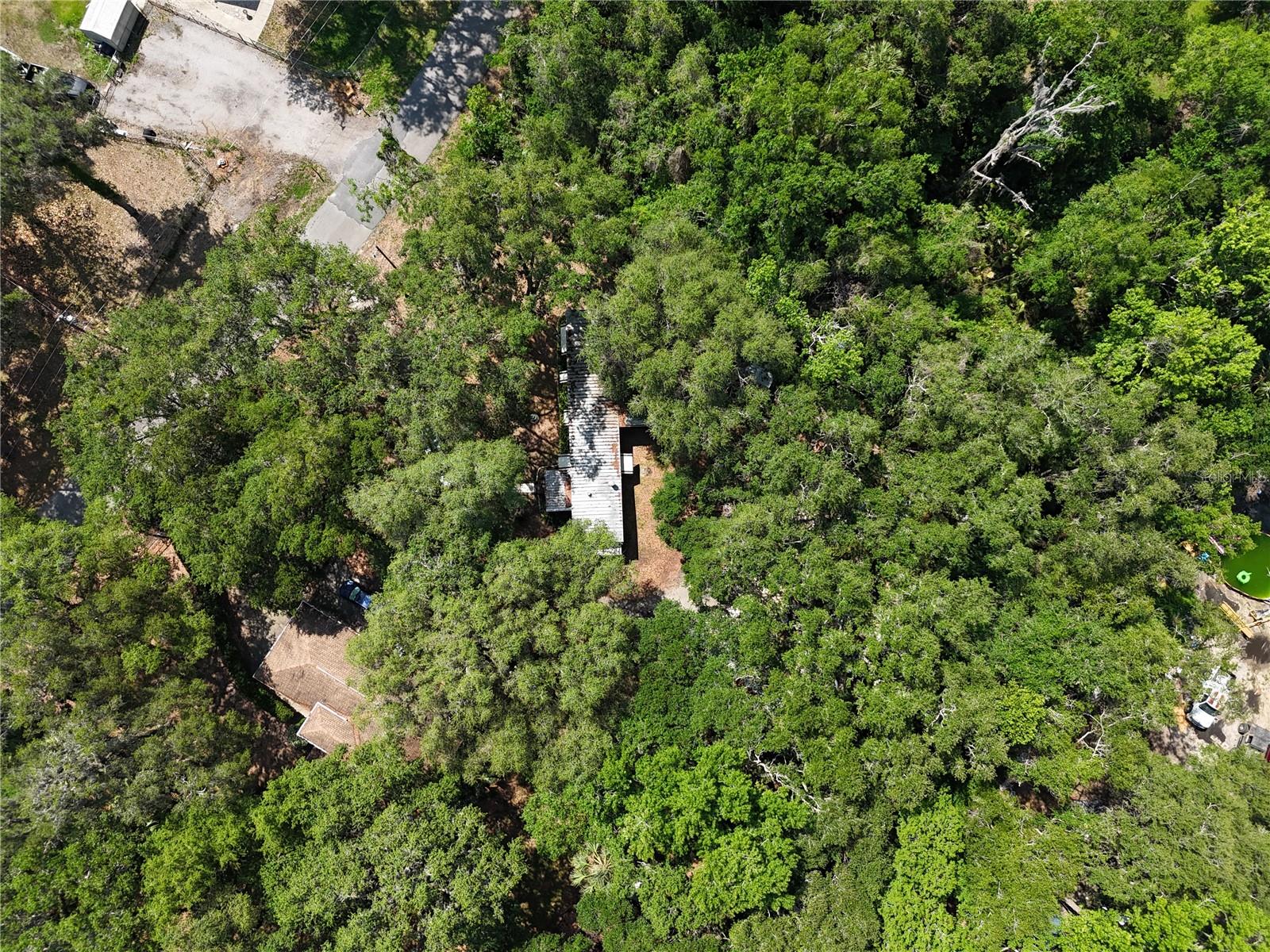 3816 CR 405C, LAKE PANASOFFKEE, FL, 33538