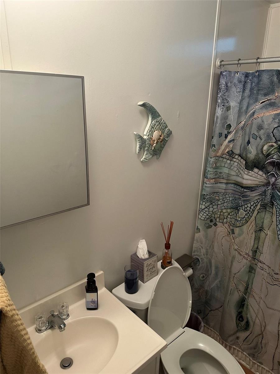 3816 CR 405C, LAKE PANASOFFKEE, FL, 33538