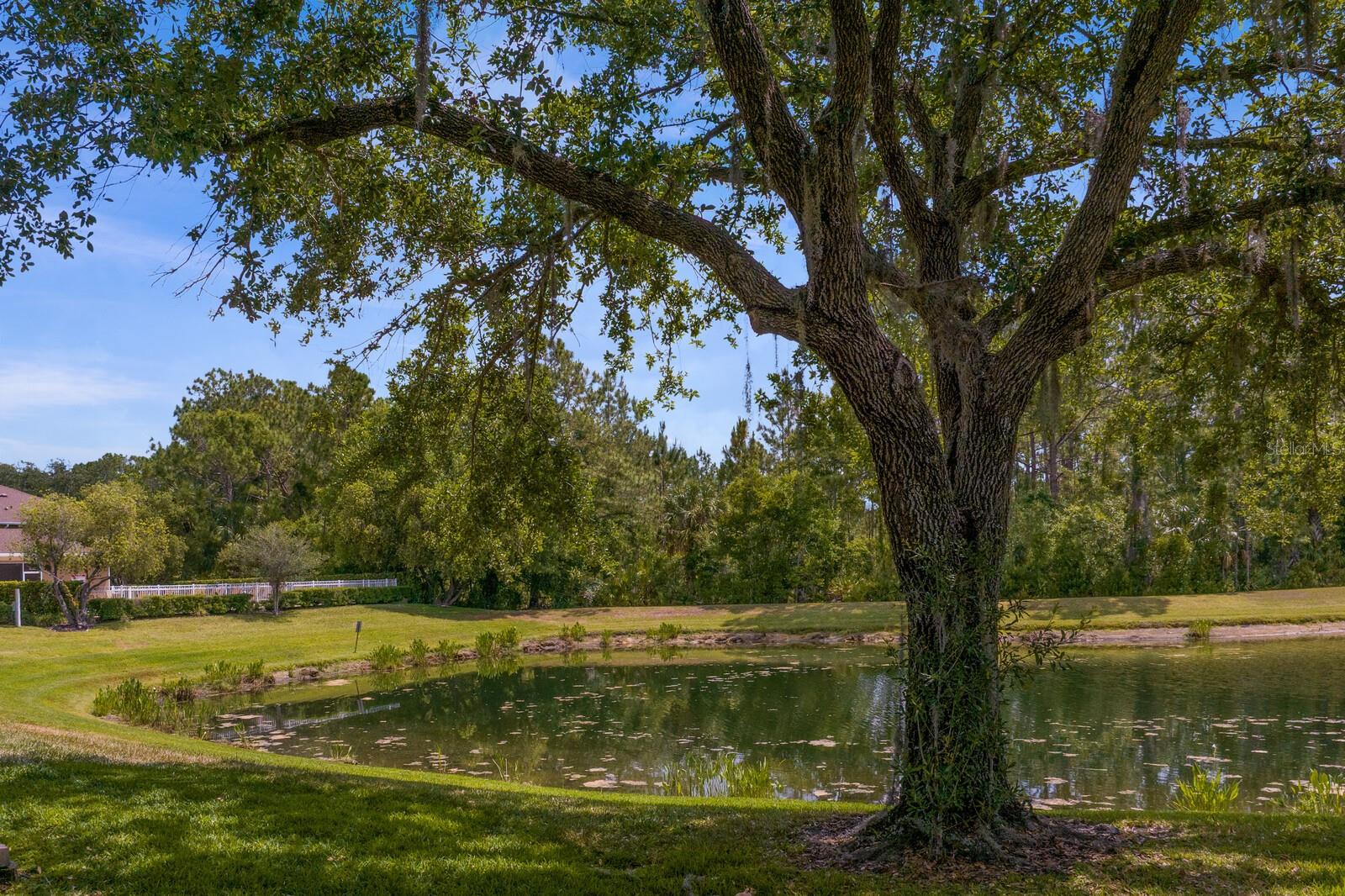 18939 DUQUESNE DR, TAMPA, FL, 33647