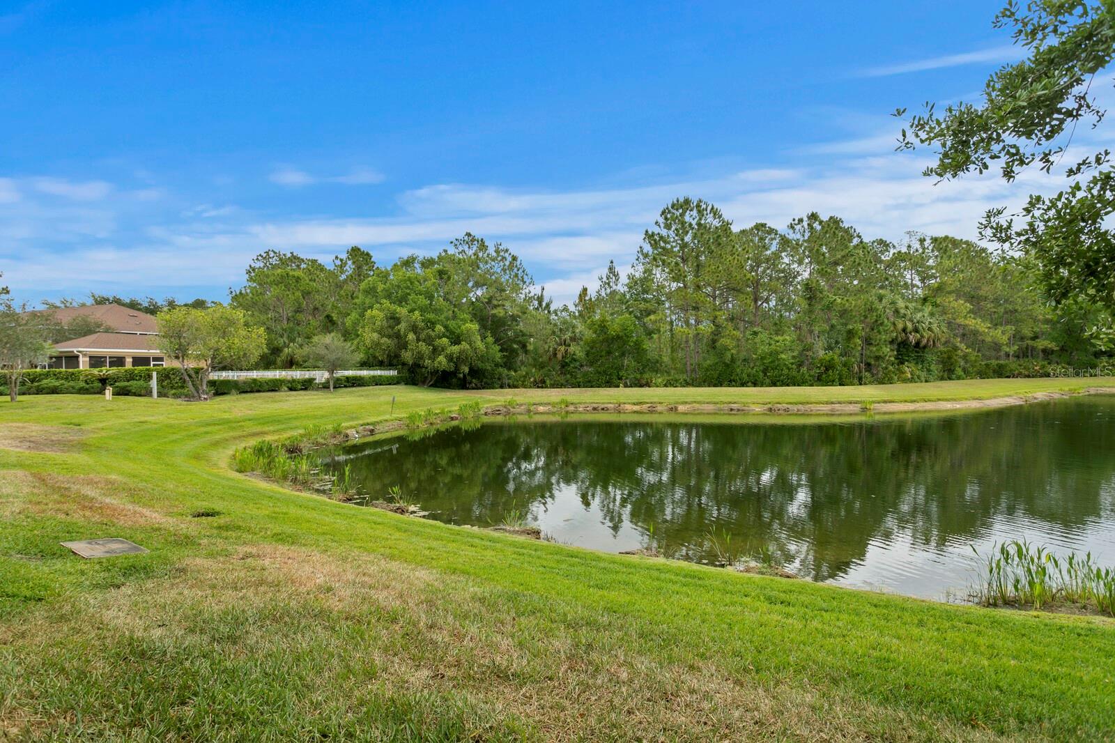 18939 DUQUESNE DR, TAMPA, FL, 33647