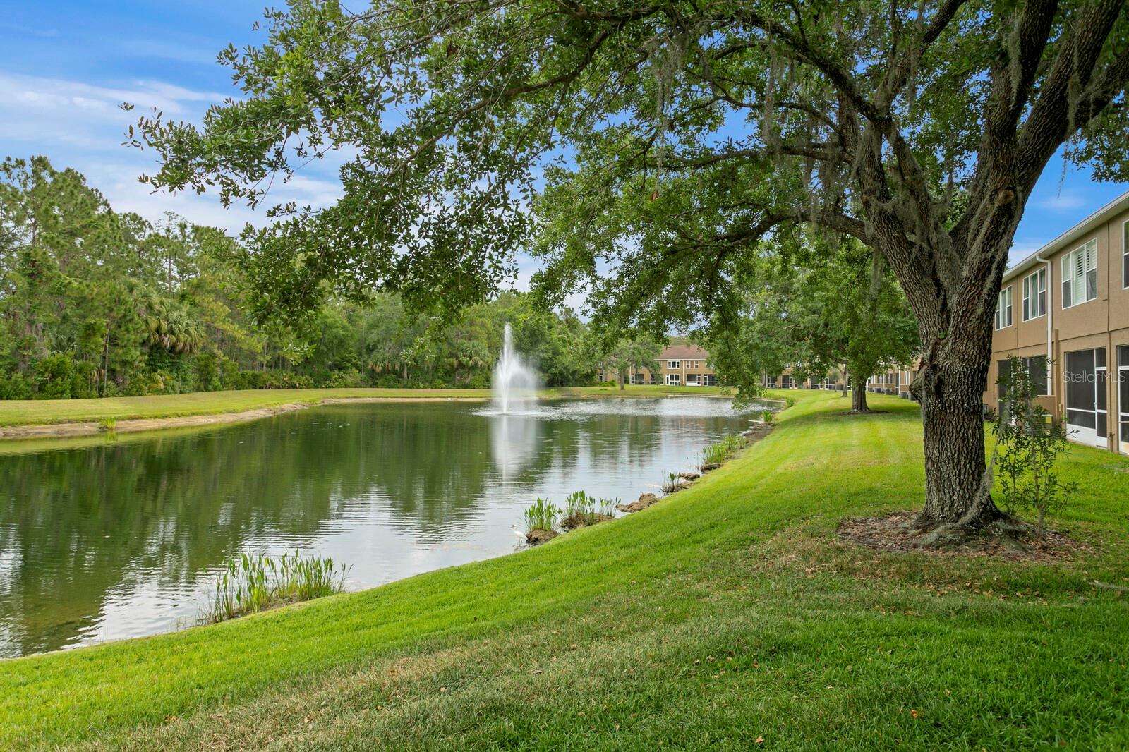 18939 DUQUESNE DR, TAMPA, FL, 33647