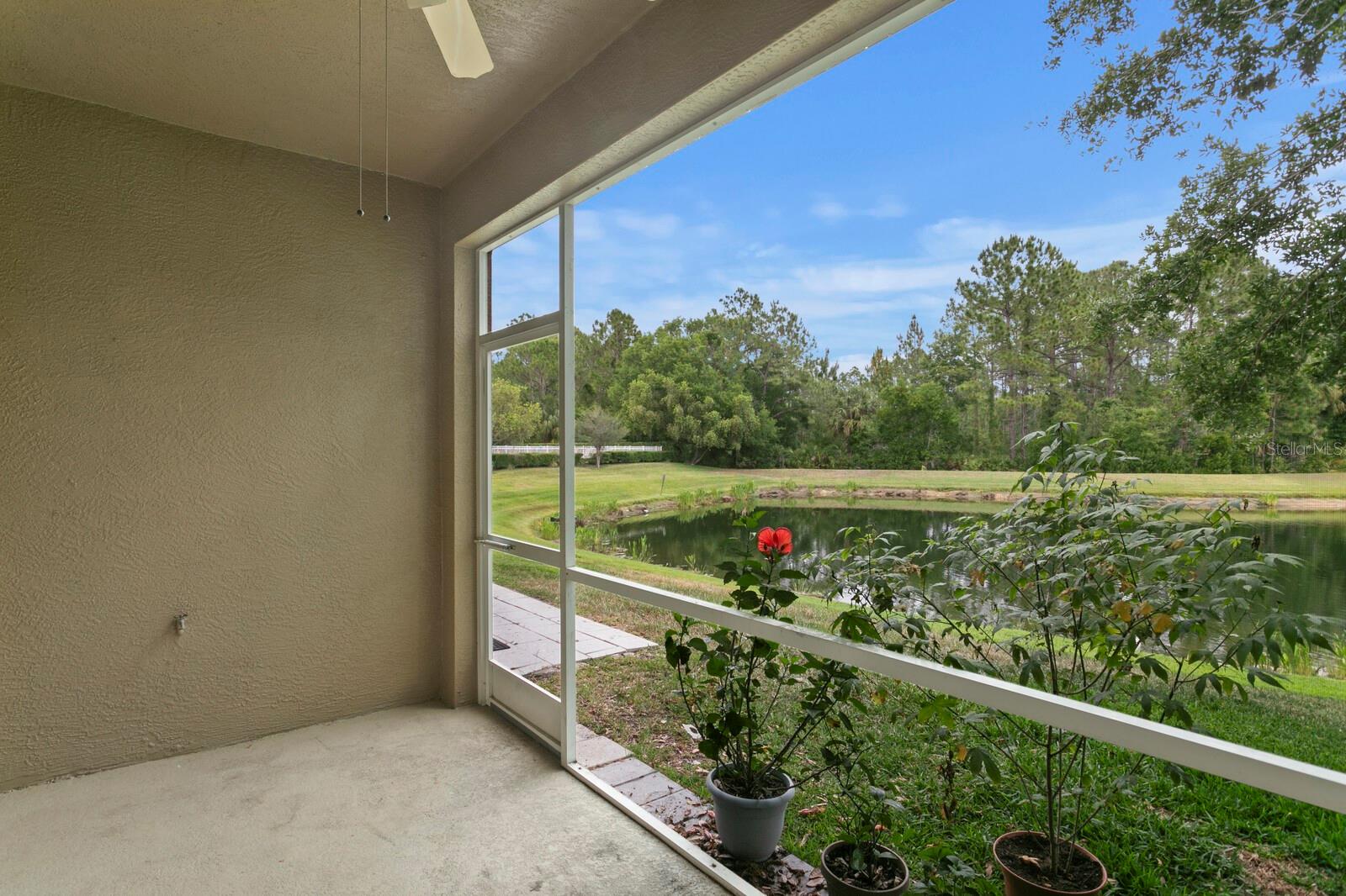 18939 DUQUESNE DR, TAMPA, FL, 33647