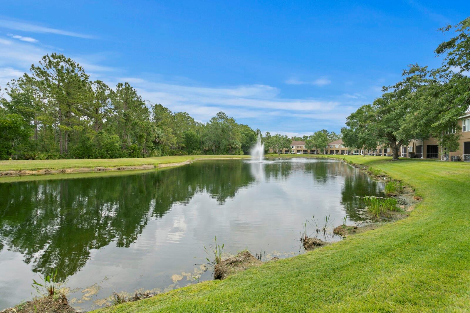 18939 DUQUESNE DR, TAMPA, FL, 33647