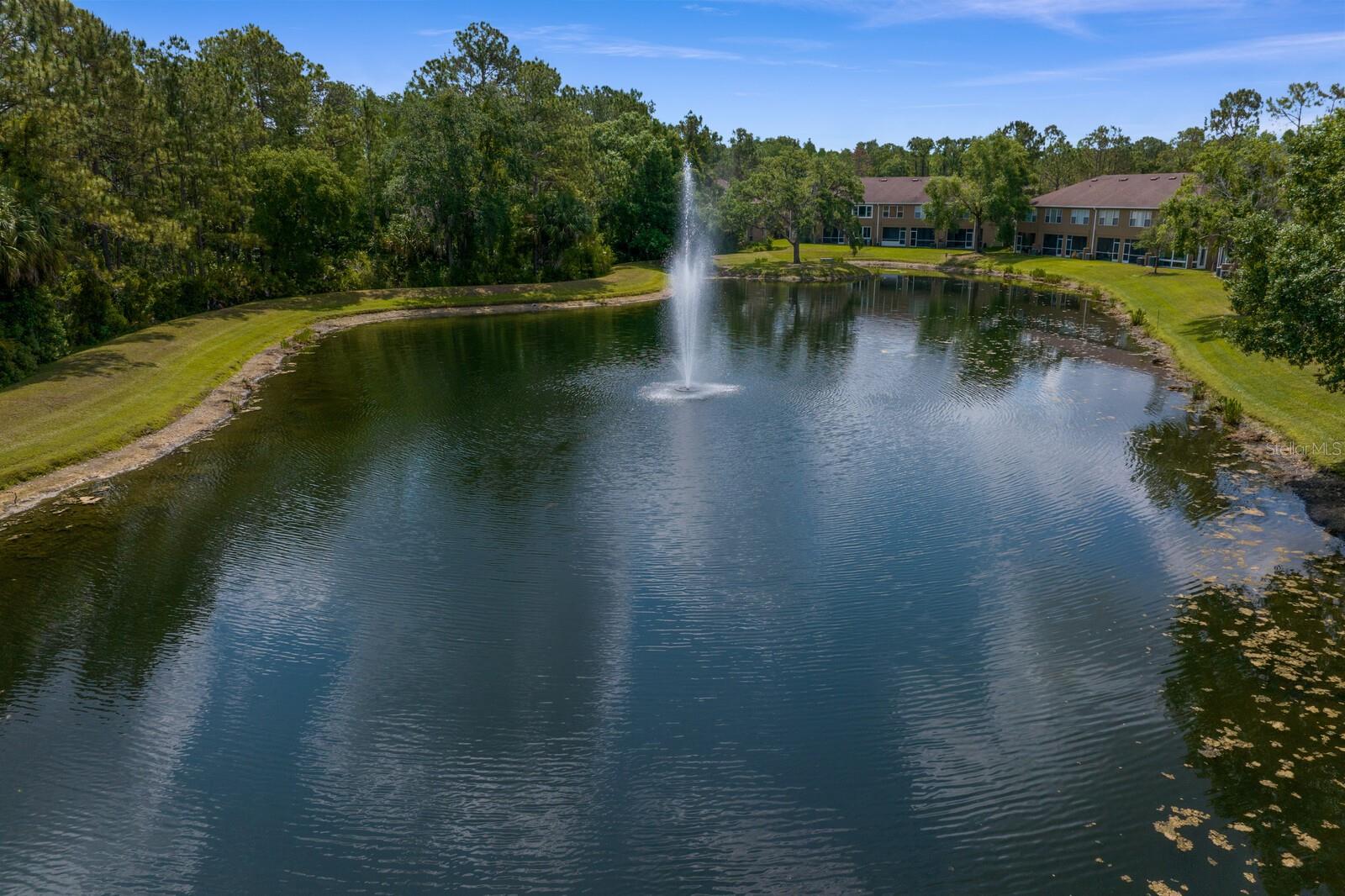 18939 DUQUESNE DR, TAMPA, FL, 33647