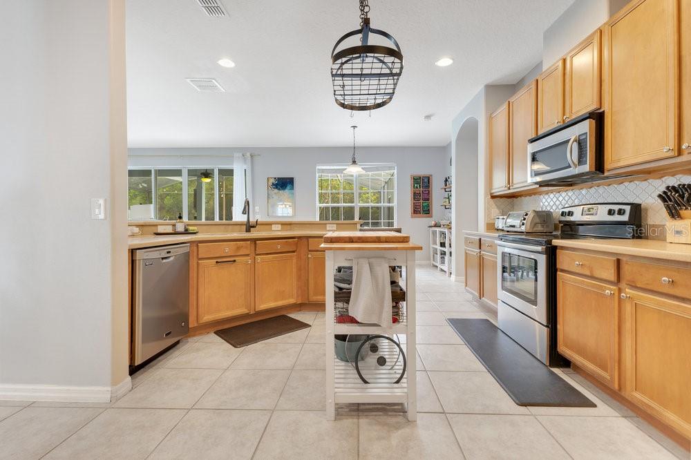 8676 CURRITUCK SOUND LN, ORLANDO, FL, 32829