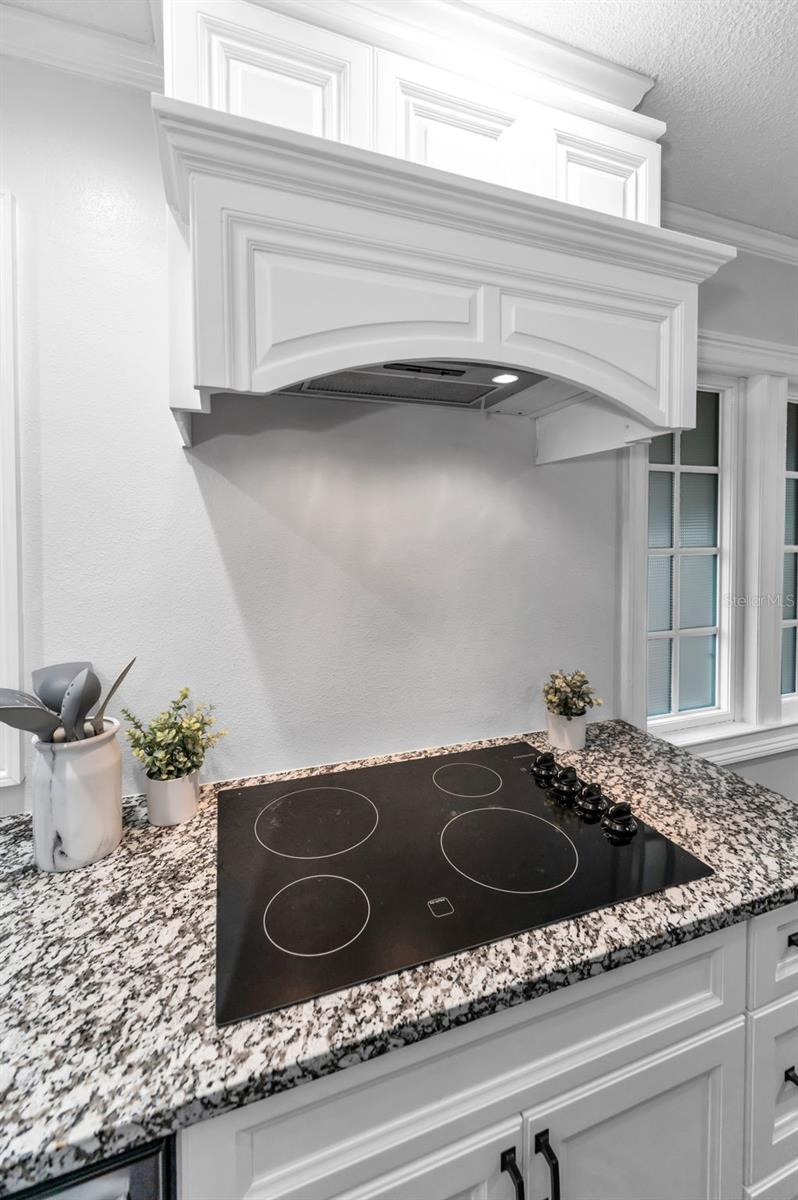 1402 OLEANDER DR, TARPON SPRINGS, FL, 34689