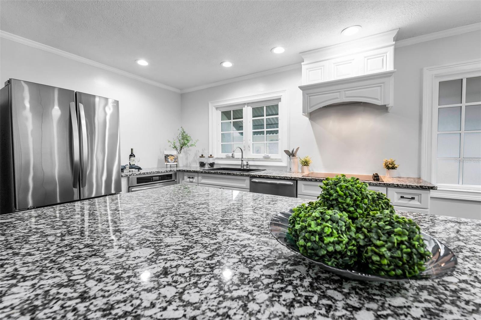 1402 OLEANDER DR, TARPON SPRINGS, FL, 34689