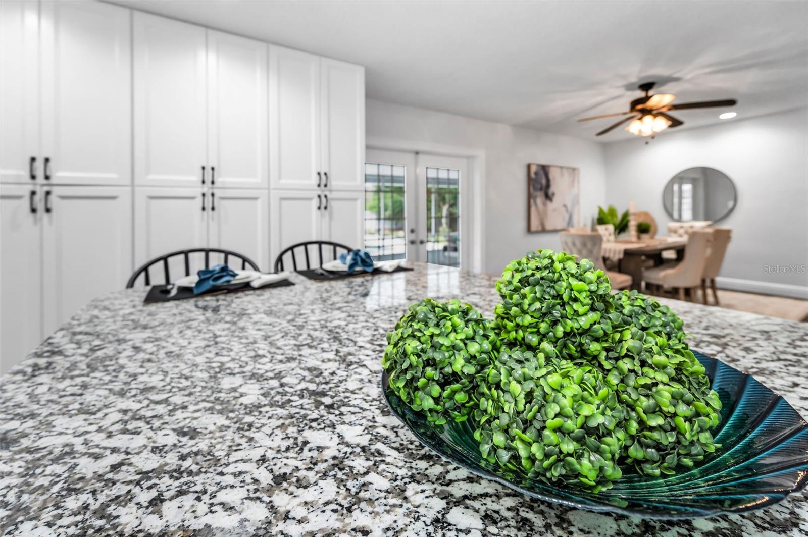 1402 OLEANDER DR, TARPON SPRINGS, FL, 34689