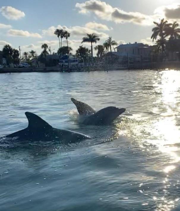 132 DARTMOUTH AVE W, OLDSMAR, FL, 34677