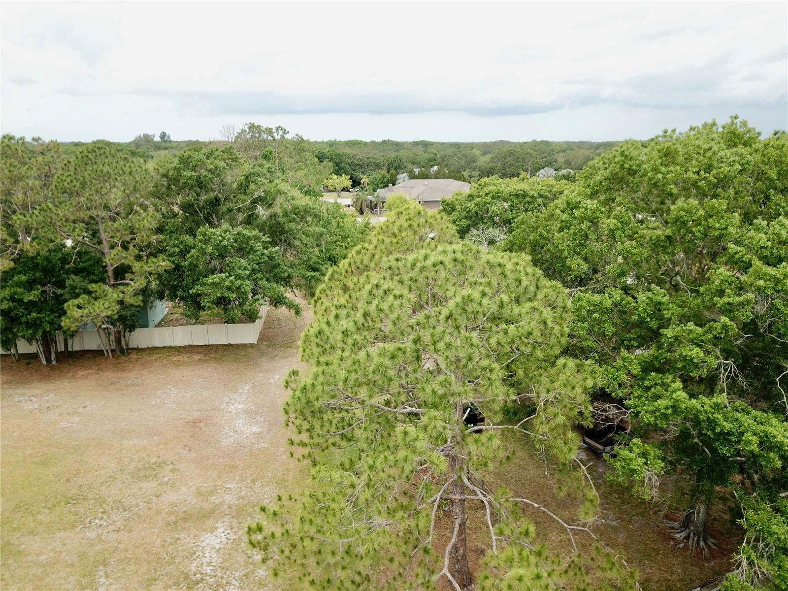 12501 PALOMINO CT, TAMPA, FL, 33626