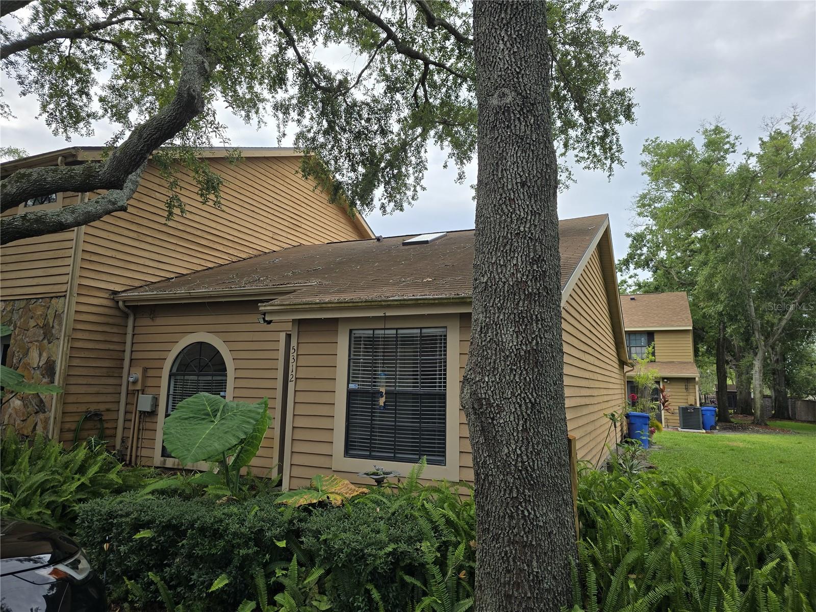 5312 ROLLINSFORD CT #5312, TAMPA, FL, 33624