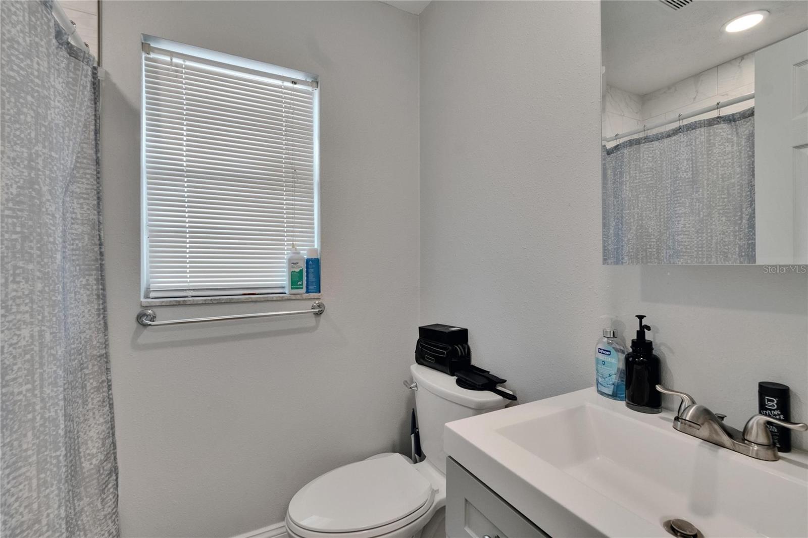 In-Law Suite Bathroom