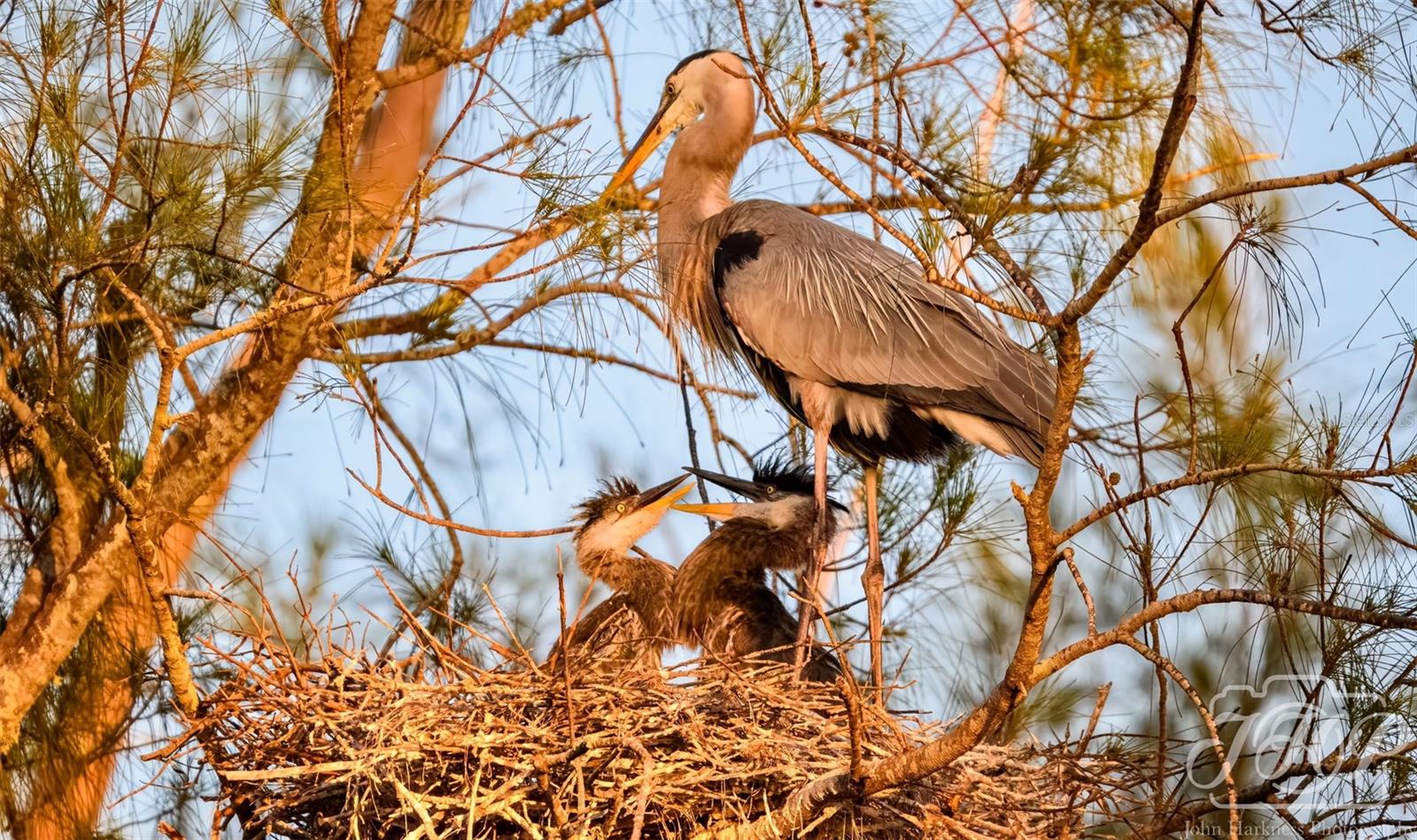 4726 POTOMAC CIR, BRADENTON, FL, 34210