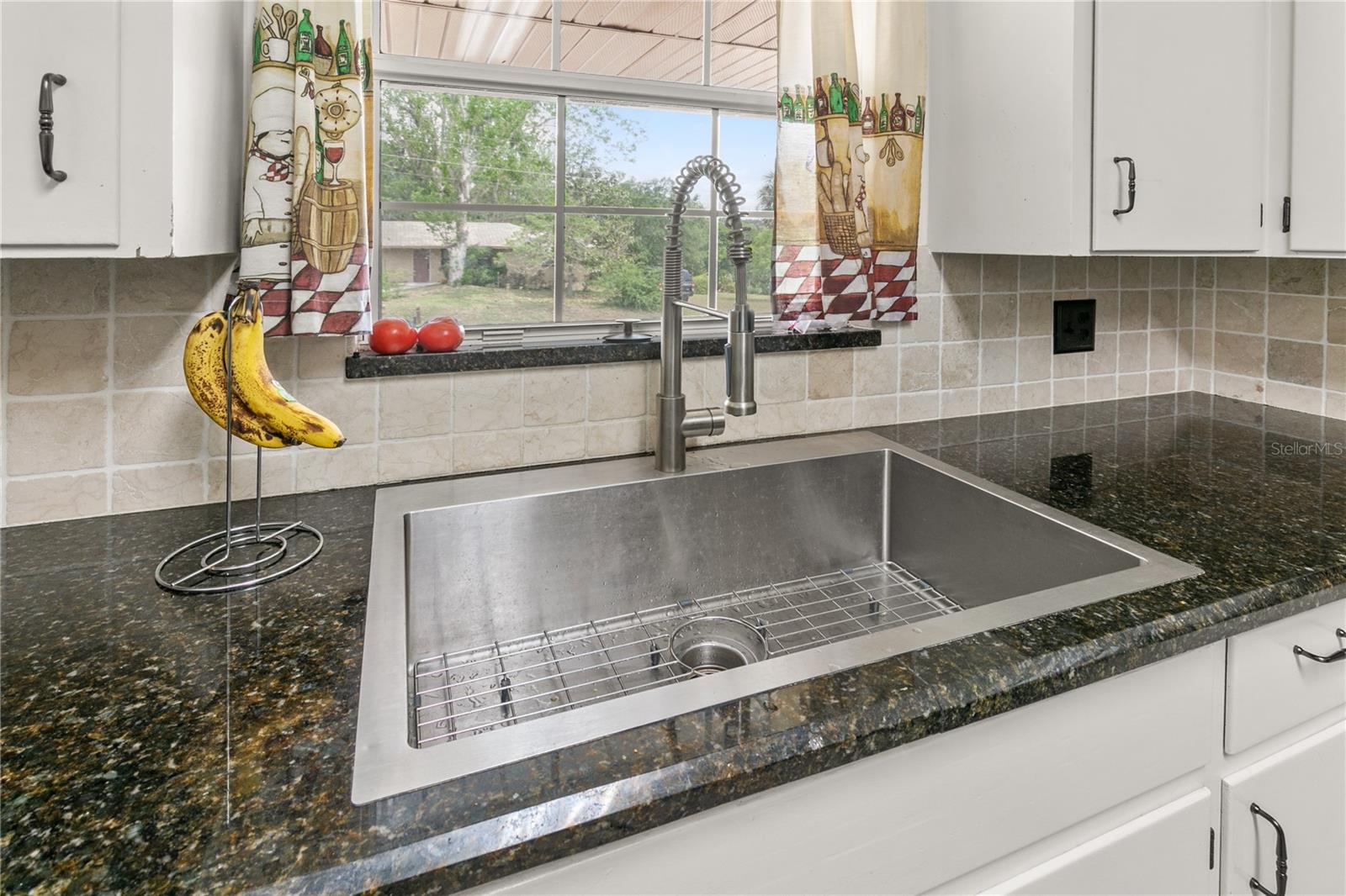 800 JEFFERIS CT, EUSTIS, FL, 32726