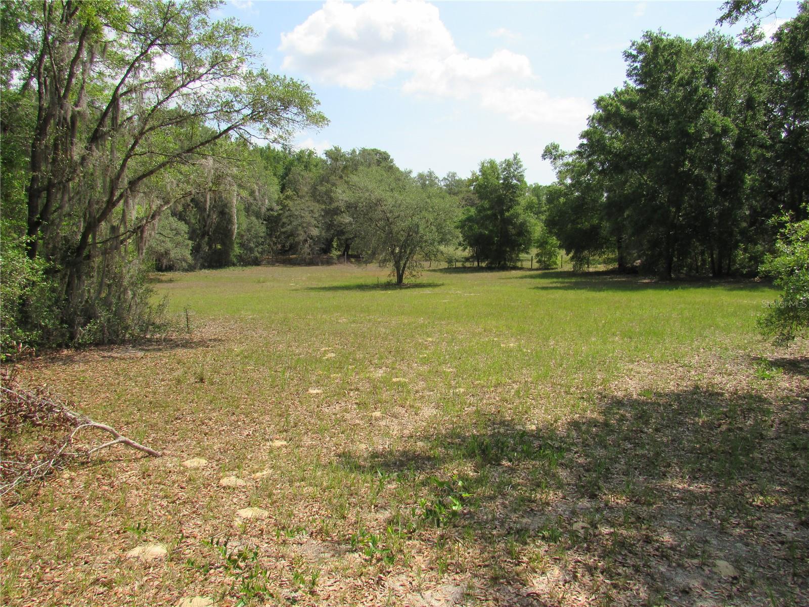 1737 GRIFFIN AVE, LADY LAKE, FL, 32159