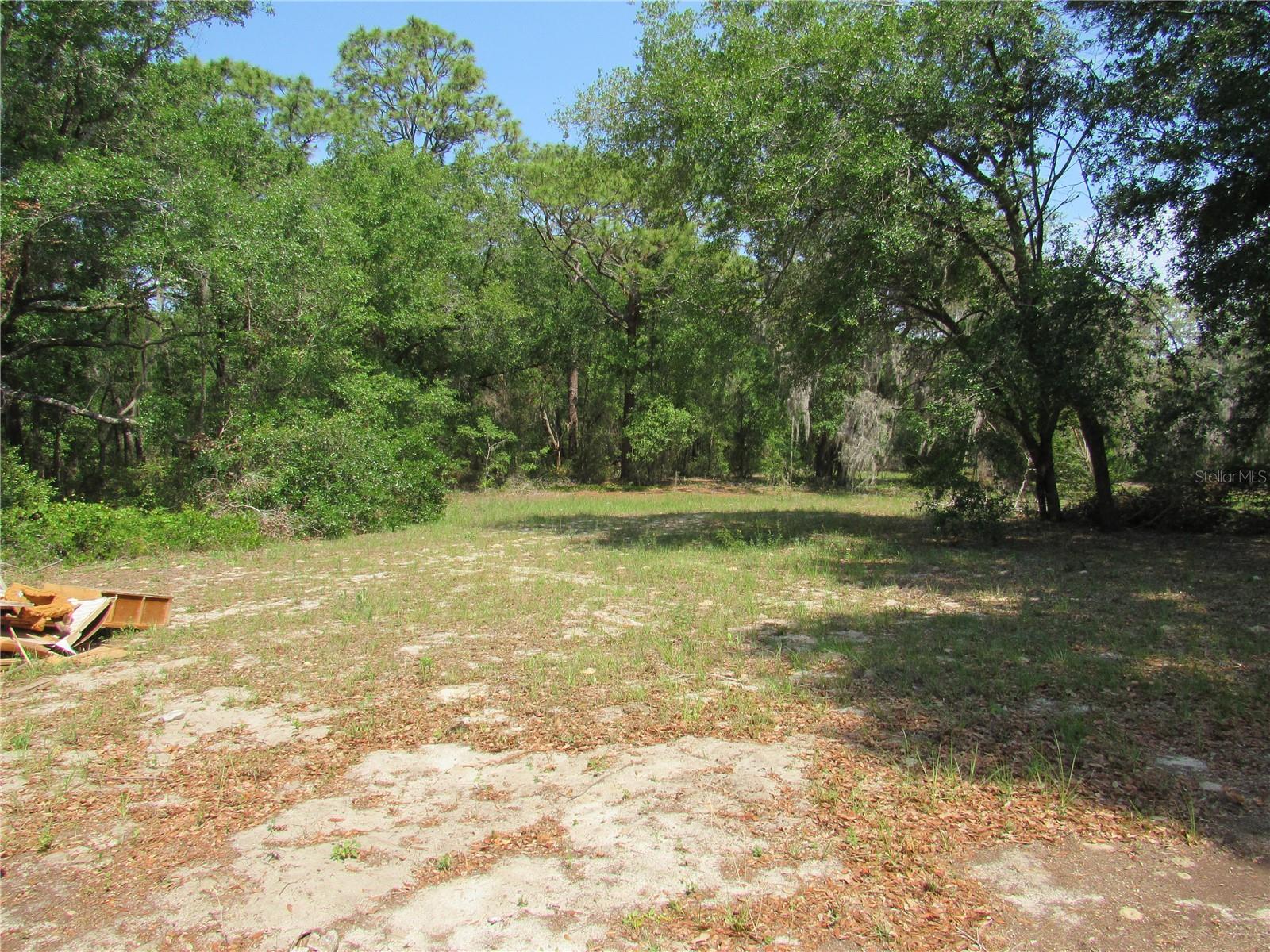 1737 GRIFFIN AVE, LADY LAKE, FL, 32159