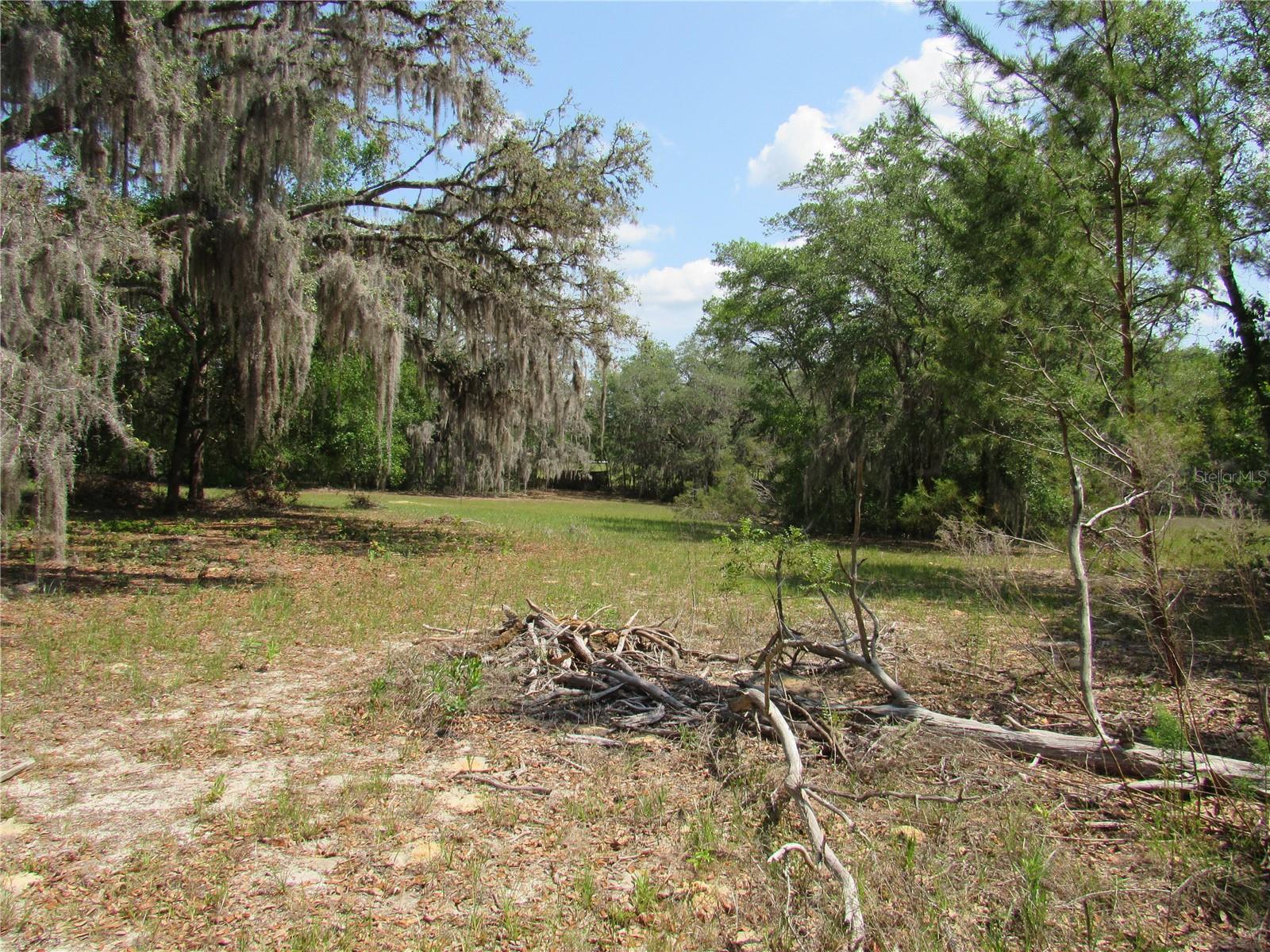 1737 GRIFFIN AVE, LADY LAKE, FL, 32159