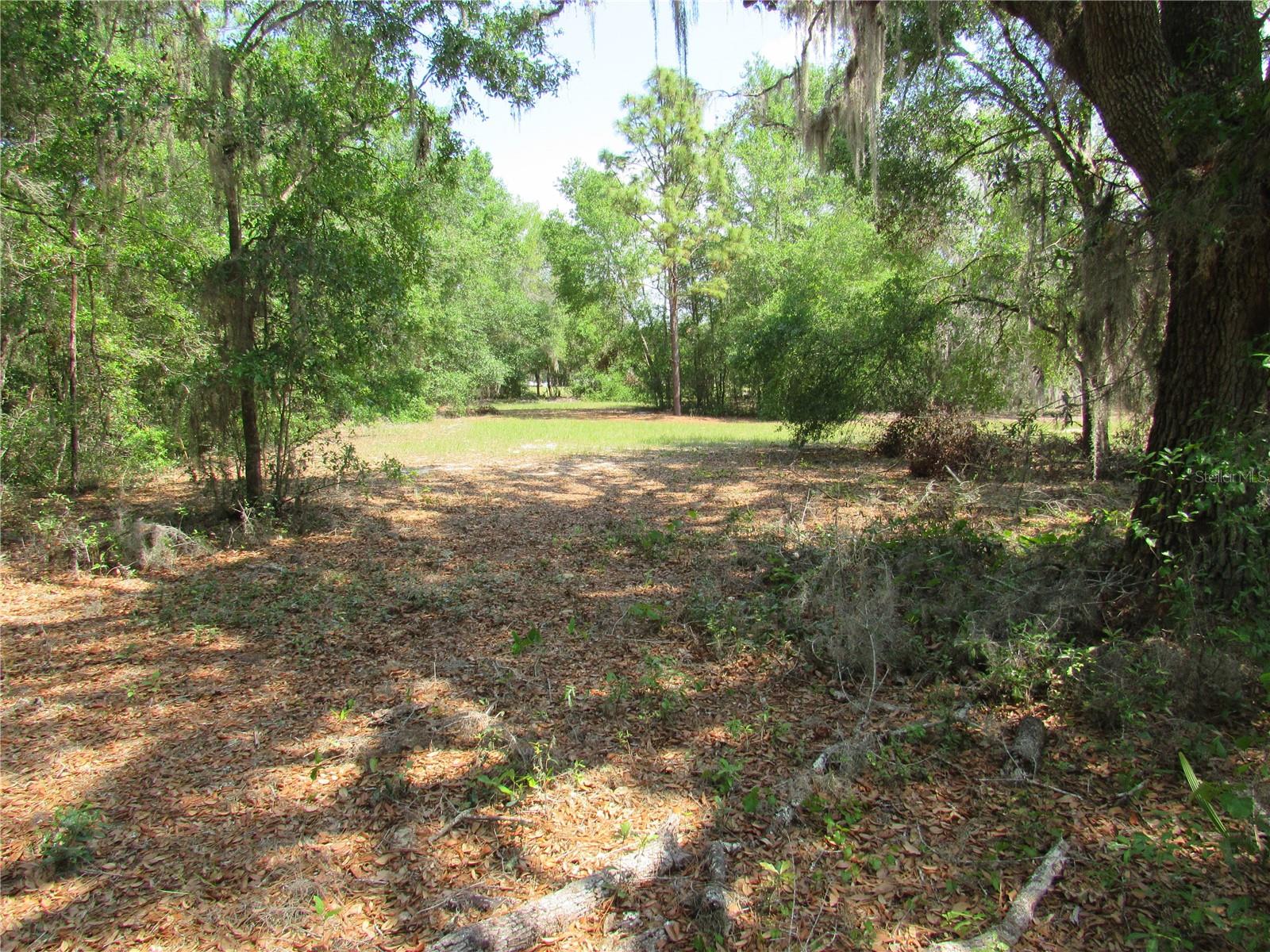 1737 GRIFFIN AVE, LADY LAKE, FL, 32159