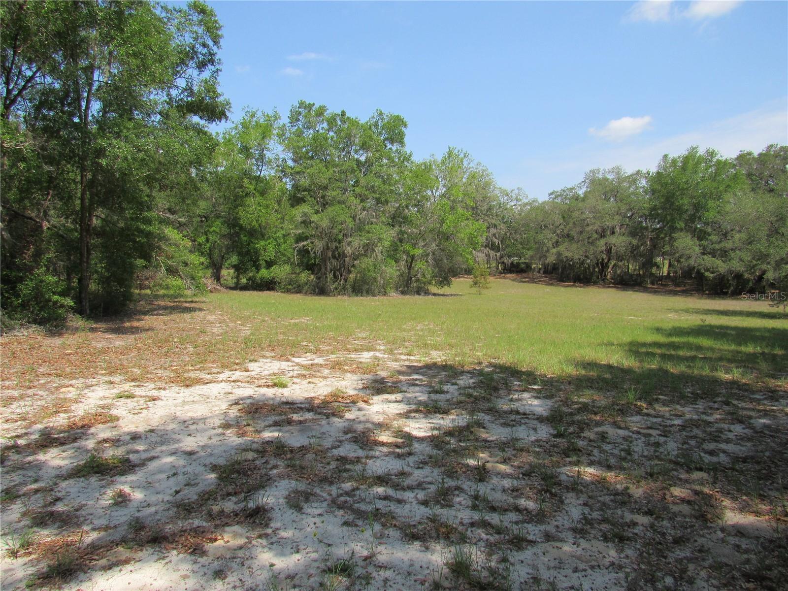 1737 GRIFFIN AVE, LADY LAKE, FL, 32159