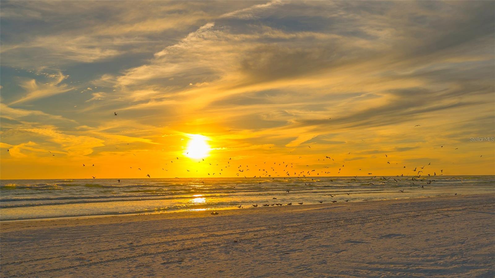 878 FREELING DR, SARASOTA, FL, 34242