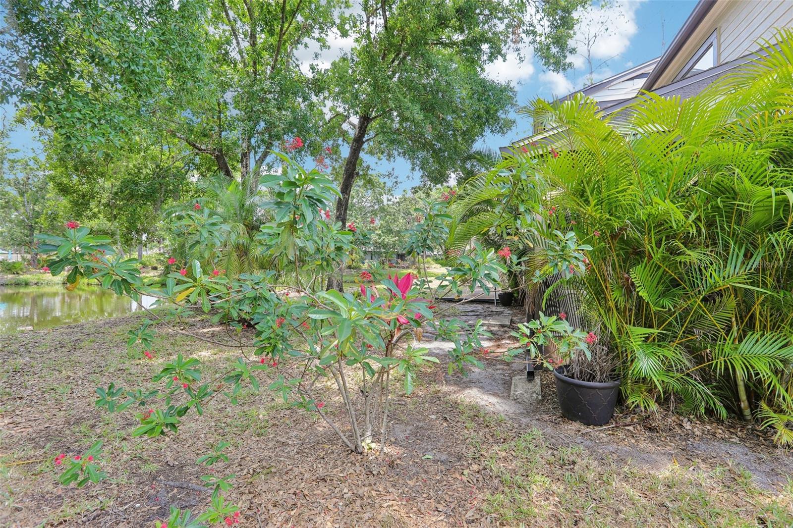 330 WOODS LANDING TRAIL, OLDSMAR, FL, 34677