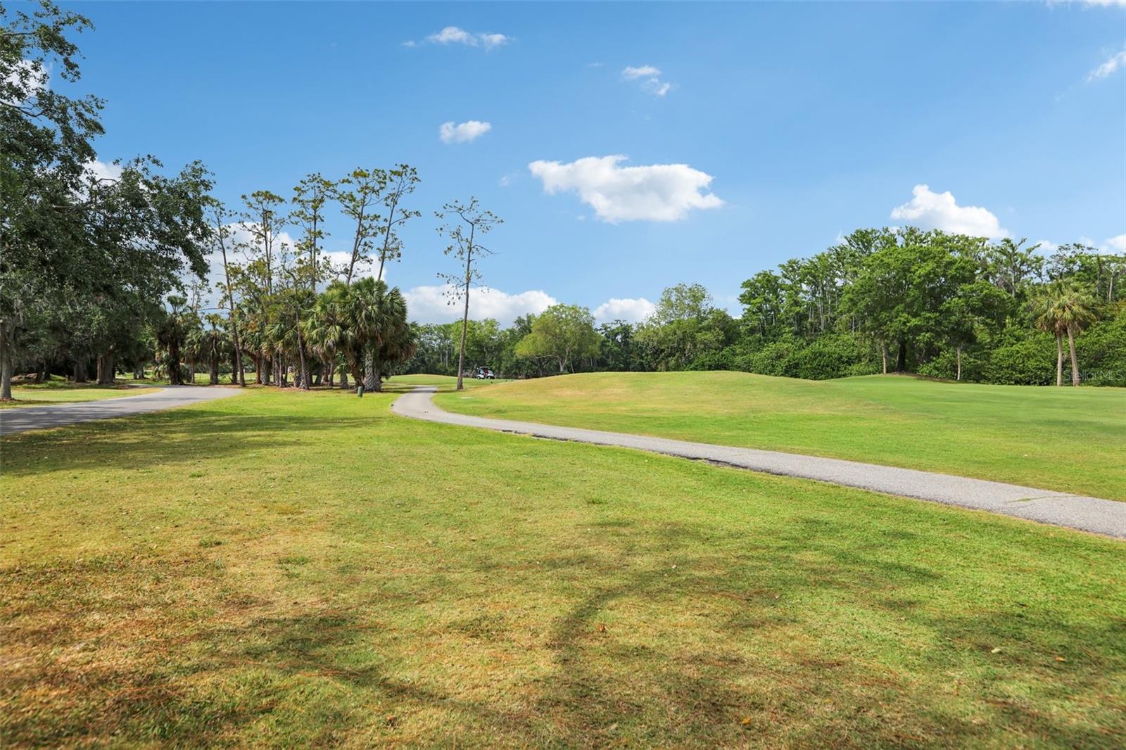 330 WOODS LANDING TRAIL, OLDSMAR, FL, 34677