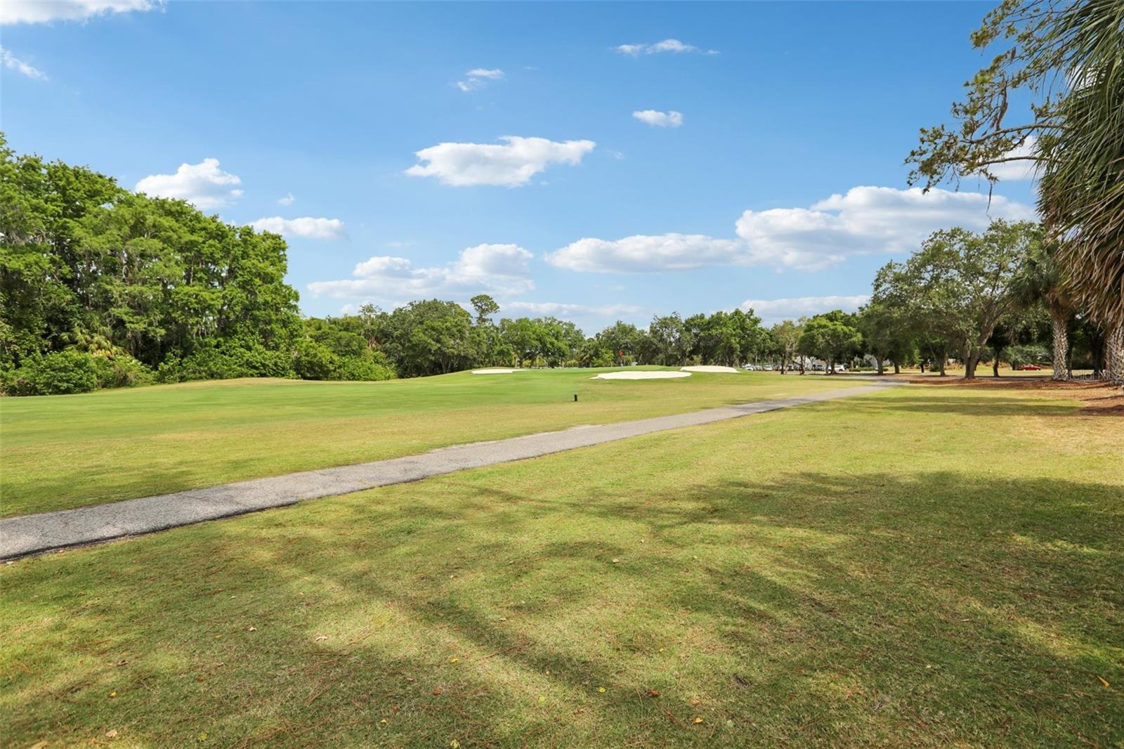 330 WOODS LANDING TRAIL, OLDSMAR, FL, 34677