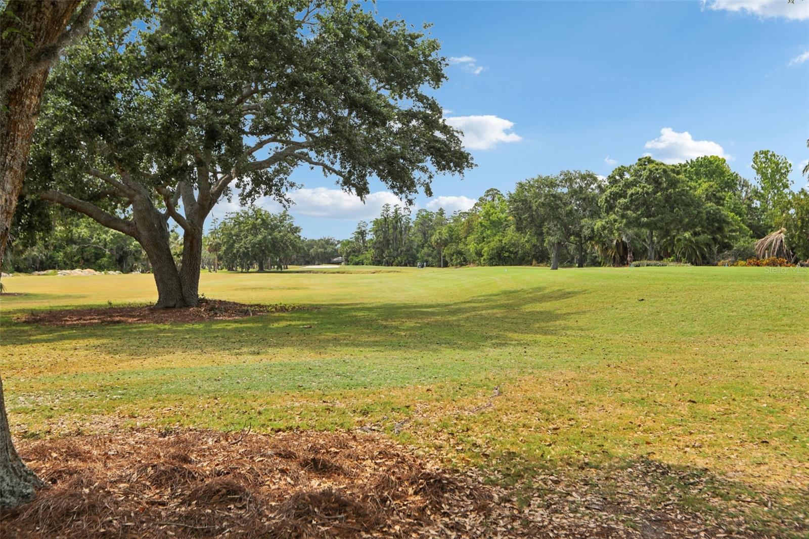 330 WOODS LANDING TRAIL, OLDSMAR, FL, 34677