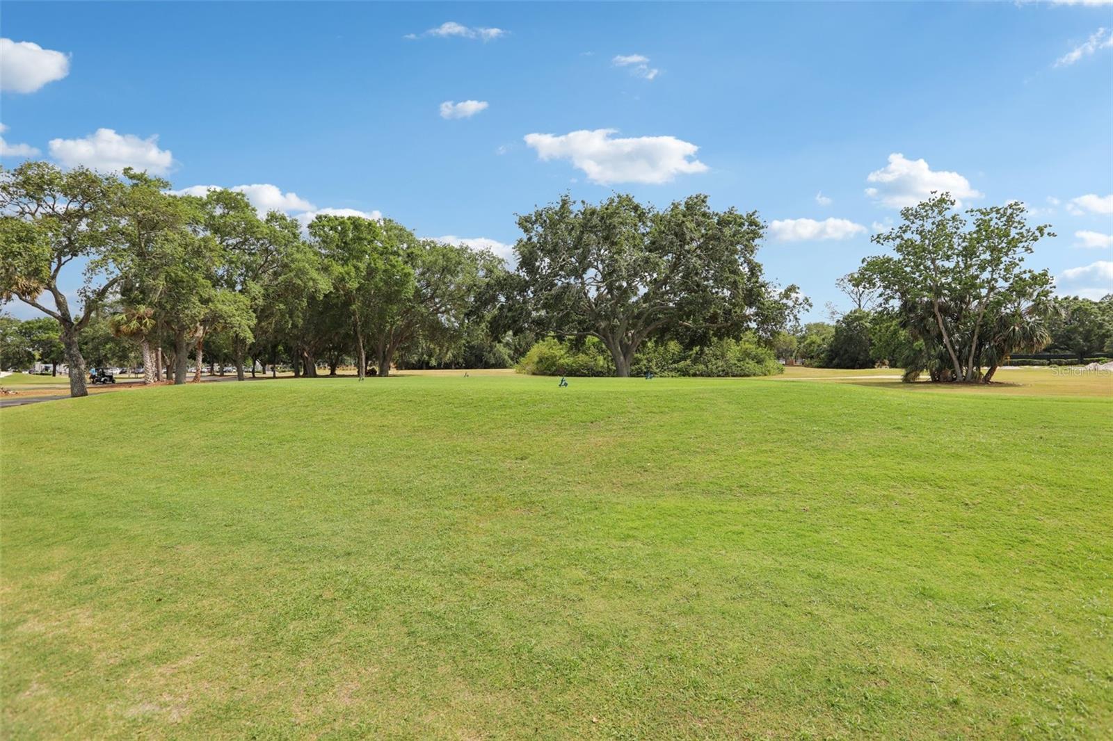 330 WOODS LANDING TRAIL, OLDSMAR, FL, 34677