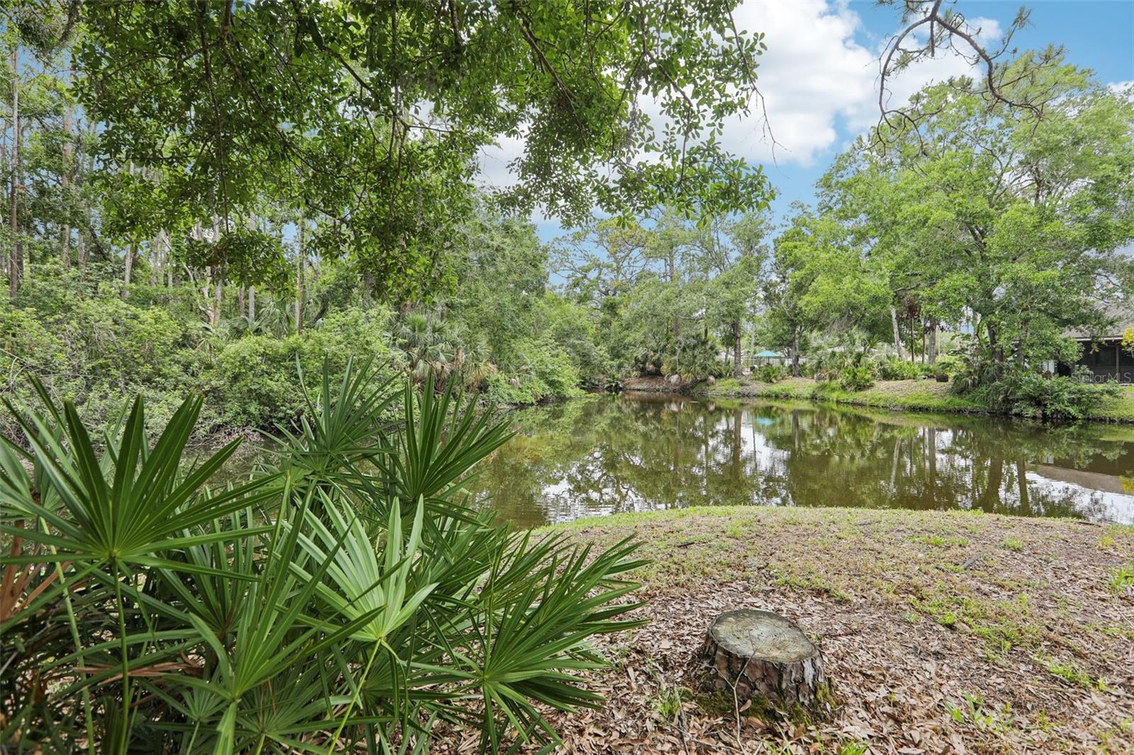 330 WOODS LANDING TRAIL, OLDSMAR, FL, 34677