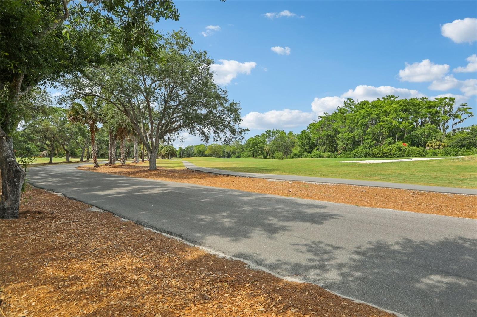 330 WOODS LANDING TRAIL, OLDSMAR, FL, 34677