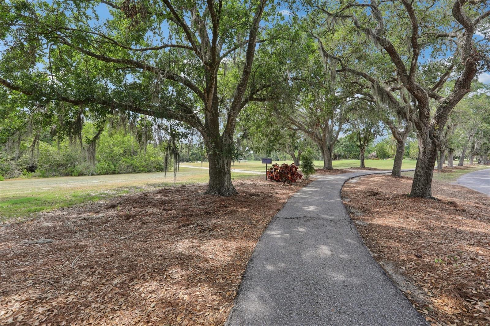 330 WOODS LANDING TRAIL, OLDSMAR, FL, 34677